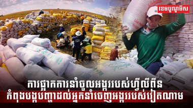 វិស័យ ស្រូវអង្ករ