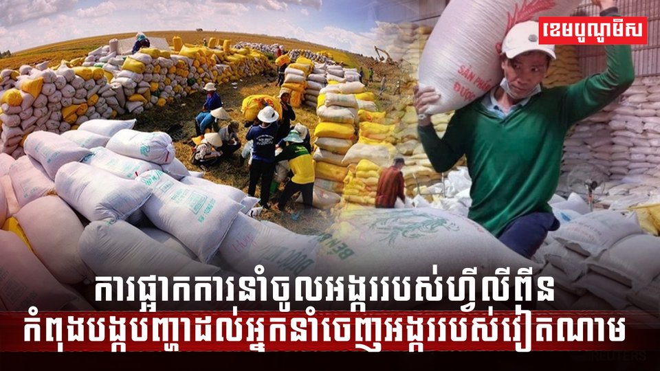 វិស័យ ស្រូវអង្ករ
