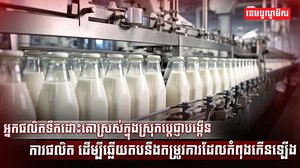 វិស័យ SME