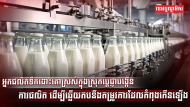 វិស័យ SME