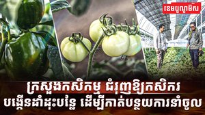 វិស័យកសិកម្ម