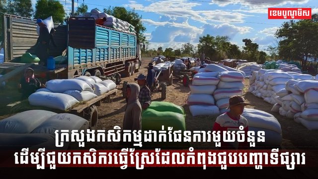 វិស័យកសិកម្ម