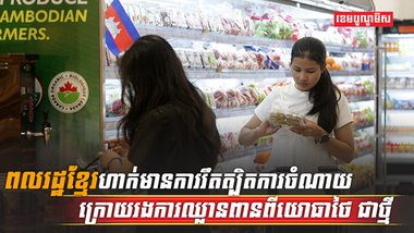 វិស័យសេដ្ឋកិច្ច