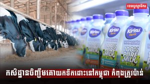 វិស័យចិញ្ចឹមសត្វ