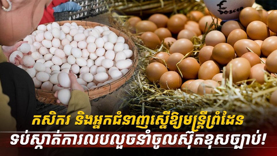 ទីផ្សារស៊ុត