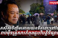 កសិករចិញ្ចឹមគោ