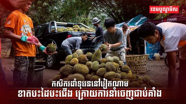 ទីផ្សារទុរេន