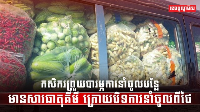 វិស័យកសិកម្ម
