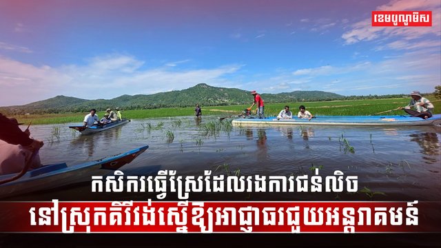 វិស័យកសិកម្ម
