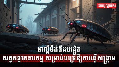 វិស័យបច្ចេកវិទ្យា