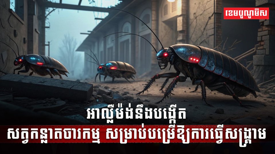វិស័យបច្ចេកវិទ្យា