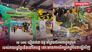 វិស័យ SME