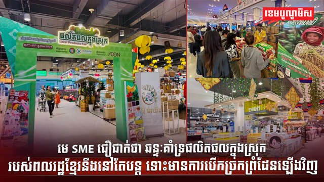 វិស័យ SME