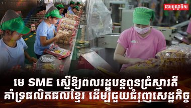 វិស័យ SME