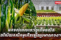 វិស័យកសិកម្ម