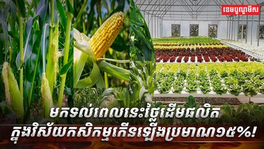 វិស័យកសិកម្ម