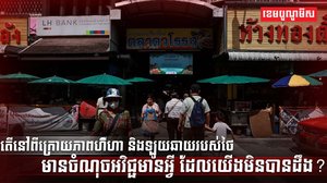 វិស័យសេដ្ឋកិច្ច
