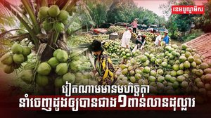 ទីផ្សារដូង