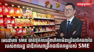 វិស័យ SME