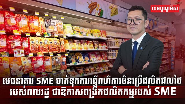 វិស័យ SME