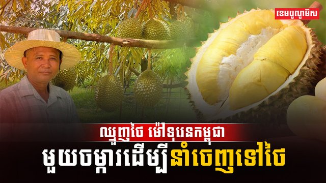 នាំចេញទៅថៃ