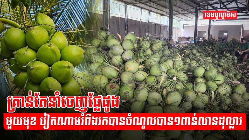 វិស័យកសិកម្ម