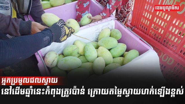 វិស័យកសិកម្ម