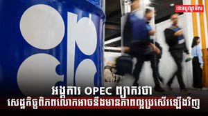 វិស័យថាមពល