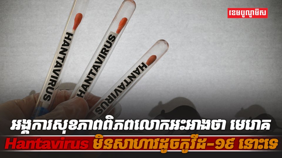 មេរោគ Hantavirus