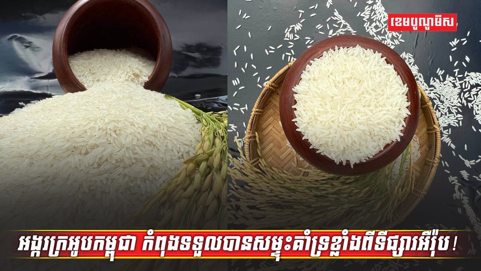 វិស័យកសិកម្ម