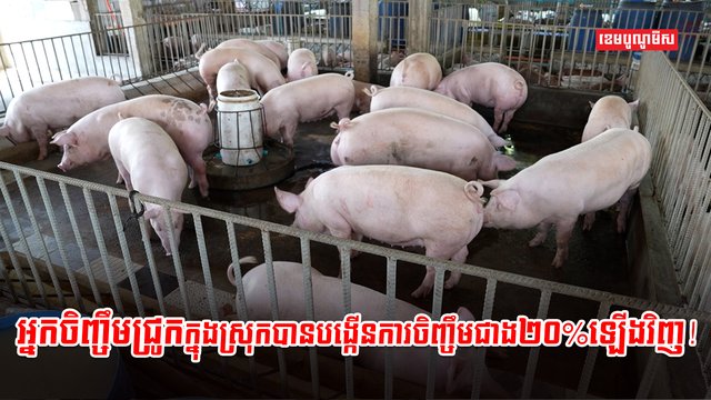 អ្នកចិញ្ចឹមសត្វ