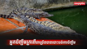 អ្នកចិញ្ចឹមក្រពើ