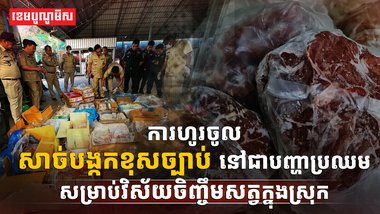 អ្នកចិញ្ចឹមសត្វក្នុងស្រុក