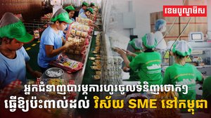 វិស័យ SME