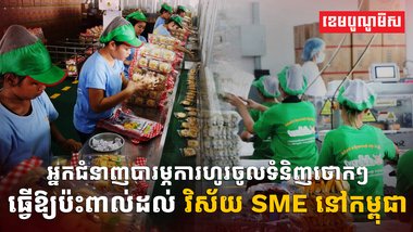 វិស័យ SME