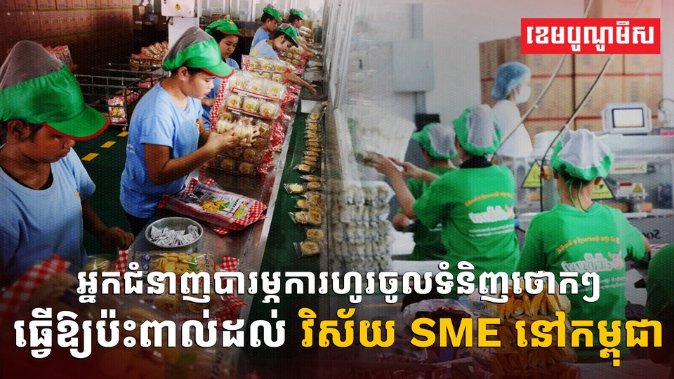វិស័យ SME