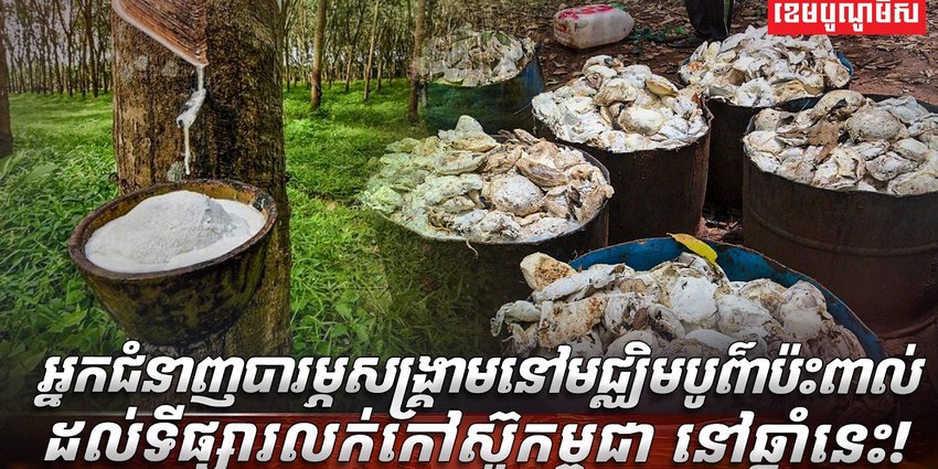 ទីផ្សារកៅស៊ូ