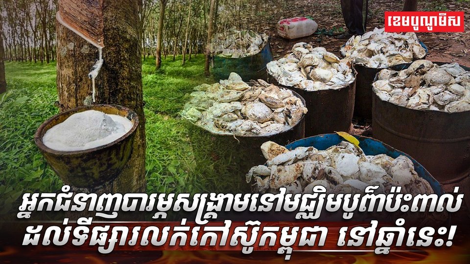 ទីផ្សារកៅស៊ូ