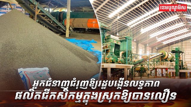 វិស័យកសិកម្ម