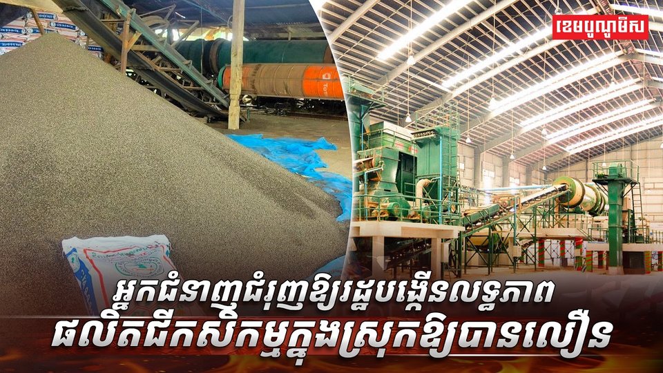 វិស័យកសិកម្ម