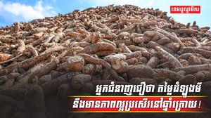 វិស័យកសិកម្ម