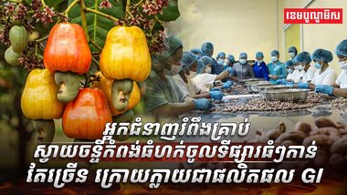 ផលិតផល GI