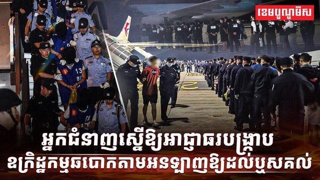 វិស័យបច្ចេកវិទ្យា