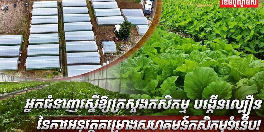 គម្រោងសហគមន៍កសិកម្មទំនើប
