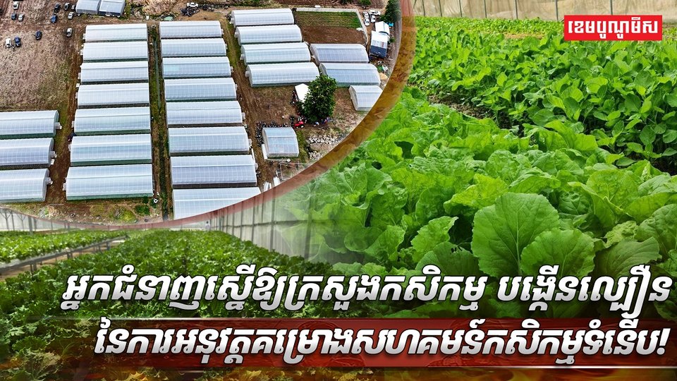 គម្រោងសហគមន៍កសិកម្មទំនើប