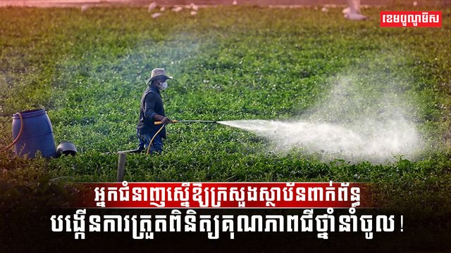 វិស័យកសិកម្ម