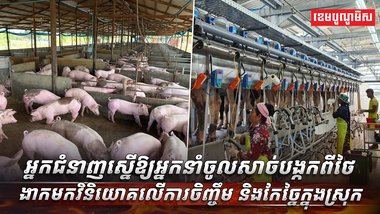 វិស័យ SME