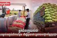 តម្លៃស្រូវ