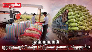 តម្លៃស្រូវ