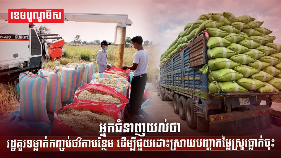 តម្លៃស្រូវ